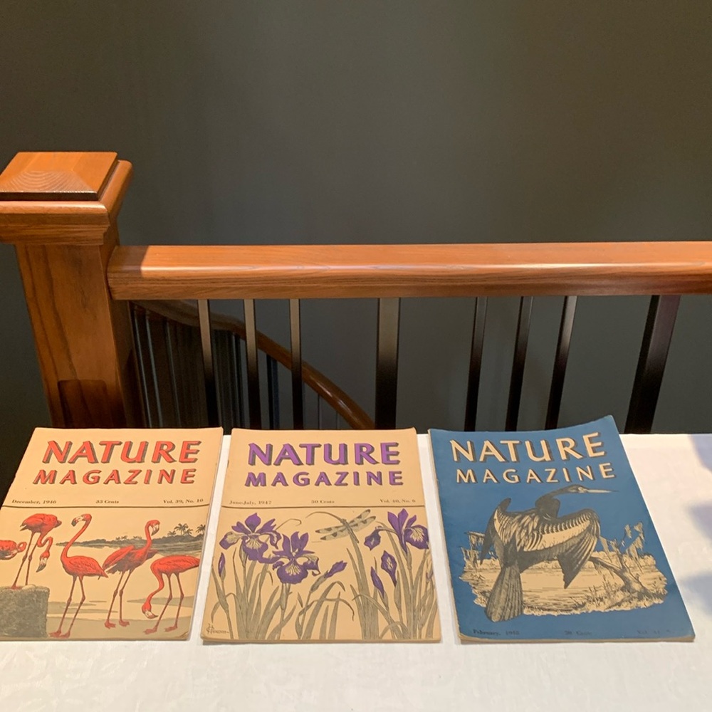 Vintage Nature Magazines. Fabulous shape. Were in storage. No smell.  Historic